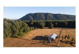 Casa y terreno una hectárea (10.000 m2)