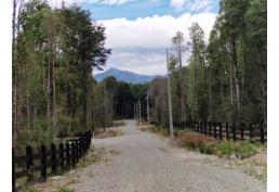 Se Vende Parcela de 5.000 m2 Bosque Nativo