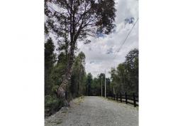 Se Vende Parcela de 5.000 m2 Bosque Nativo