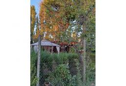 Propiedad urbana 2 casa en Pinto