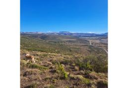 Bello campo de cordillera