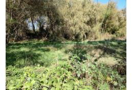 Parcela en Puipuyen Yerbas Buenas