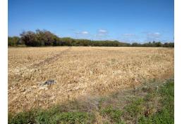 Parcela en Puipuyen Yerbas Buenas