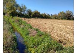 Parcela en Puipuyen Yerbas Buenas