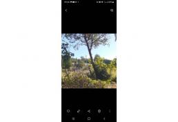 VENDO HERMOSA PARCELA A 20 MINUTOS DE VILLARRICA