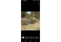 VENDO HERMOSA PARCELA A 20 MINUTOS DE VILLARRICA