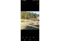 VENDO HERMOSA PARCELA A 20 MINUTOS DE VILLARRICA