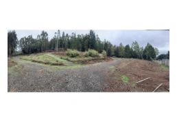 parcela sector cholchol