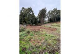 parcela sector cholchol