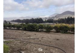 TERRENOS AGRO RESIDENCIAL - SECTOR ALTOVALSOL - LA SERENA