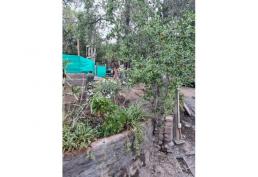 Parcela en Lomas del Aguila, Champa. Paine