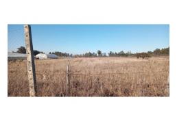 Parcela Agrado Parque Lantaño Chillan