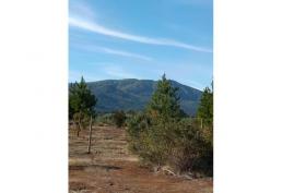 Parcela camino a Rabones, Colbun