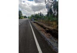 Arriendo terreno agrícola 8 hectáreas Pitrufquén