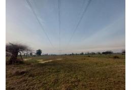 Parcela 1,37 ha San Gregorio