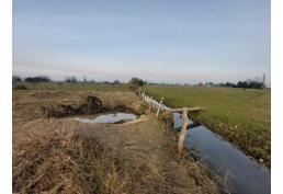 Parcela 1,37 ha San Gregorio