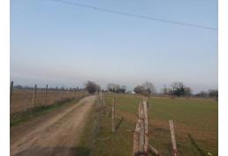 Parcela 1,37 ha San Gregorio