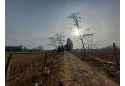 Parcela 1,37 ha San Gregorio