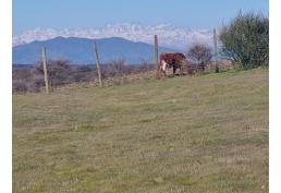 Parcela Fundo El Molino, con agua