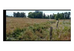 Parcela 1,37 ha San Gregorio