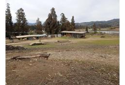 Vendo Terreno Con Planta Maderera En Licantén