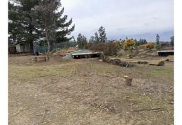 Vendo Terreno Con Planta Maderera En Licantén