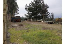 Vendo Terreno Con Planta Maderera En Licantén