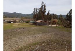 Vendo Terreno Con Planta Maderera En Licantén