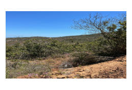 VENDE PARCELA EN HUAQUÉN - LA LIGUA