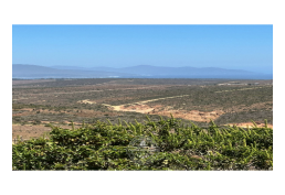 VENDE PARCELA EN HUAQUÉN - LA LIGUA