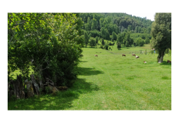 Oportunidad de negocio, hermoso terreno con linda vista