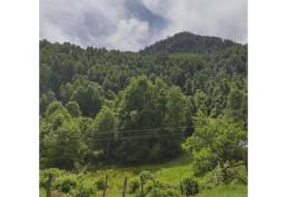 Oportunidad de negocio, hermoso terreno con linda vista