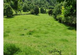 Oportunidad de negocio, hermoso terreno con linda vista