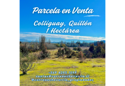 Parcela en venta, Quillon, Una Hectarea