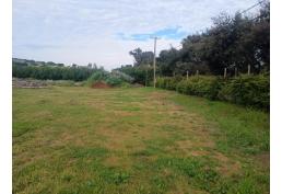 Propiedad de 2500 metros