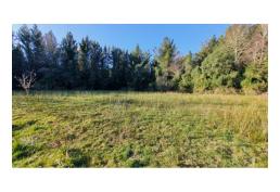 Se vende parcela 5800m2 sector lipinhue, Los lagos, rural con estero