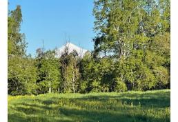 Parcelas Praderas de Villarrica.