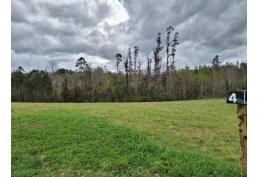 Parcelas Praderas de Villarrica.