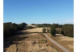 Parcelas Praderas de Villarrica.