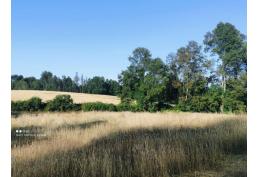 Parcelas Praderas de Villarrica.
