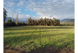 PARCELAS AGRICOLAS LA LEONERA CODEGUA