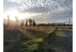 PARCELAS AGRICOLAS LA LEONERA CODEGUA