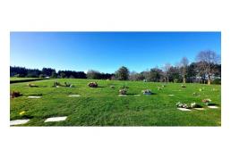 Vendo terreno en cementerio Parque San Pedro