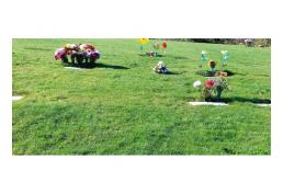 Vendo terreno en cementerio Parque San Pedro