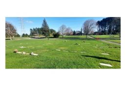 Vendo terreno en cementerio Parque San Pedro