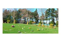 Vendo terreno en cementerio Parque San Pedro