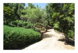 Se Vende Amplia propiedad 2.8 hectáreas, con Casa y Cabaña, Curacaví