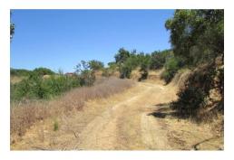 Se Vende parcela 2 Hectáreas, con vista Panorámica, Curacaví