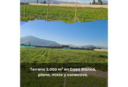 Terreno Estratégico Mixto en Casa Blanca, Ruta 68