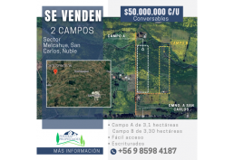 2 Campos de 3,1 y 3,3 ha. San Carlos, Ñuble